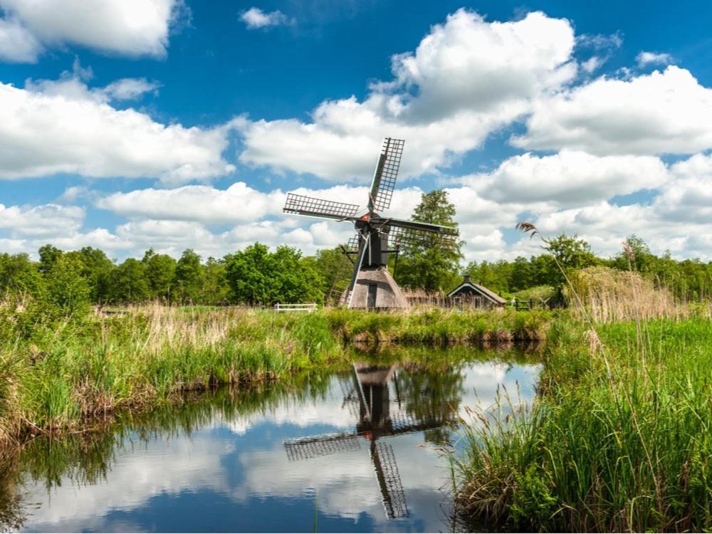 Natuur Lodge Blesdijke Экстерьер фото